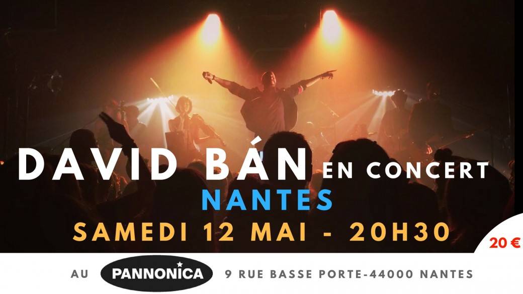 DAVID BAN - Concert - NANTES