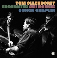 Ari Hoenig Trio 