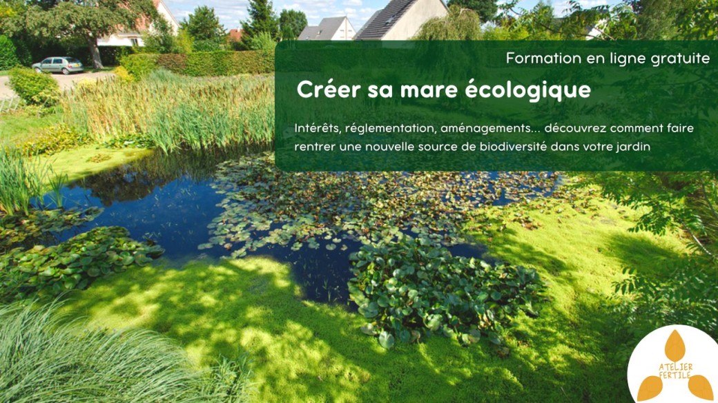 Formation "Créer sa mare écologique