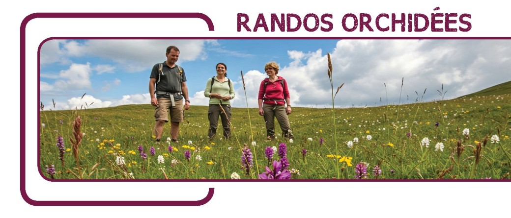 1 PLACE - Randos Orchidées Sauvages