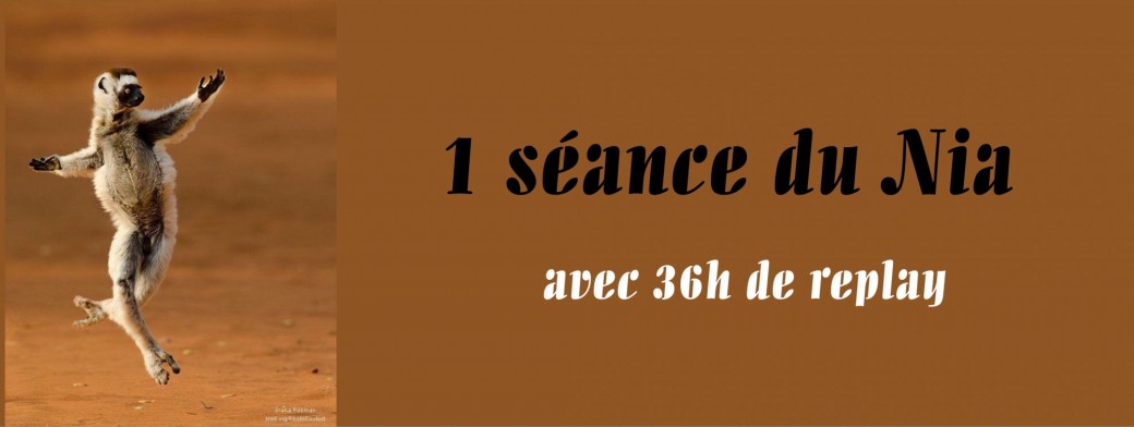 1 séance du Nia