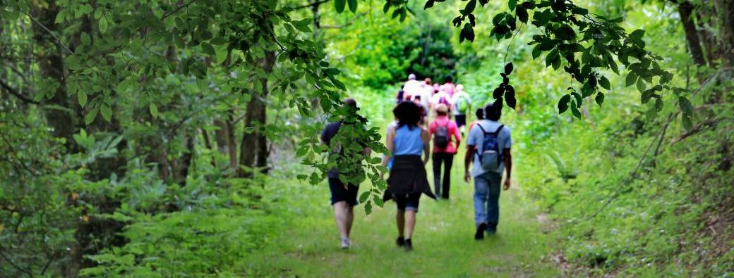 10 ans Halte Répit : Petite Balade pour la bonne cause