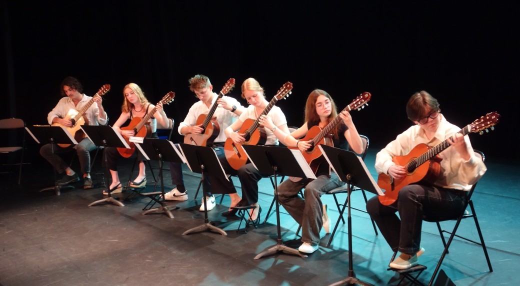 1001 Guitares