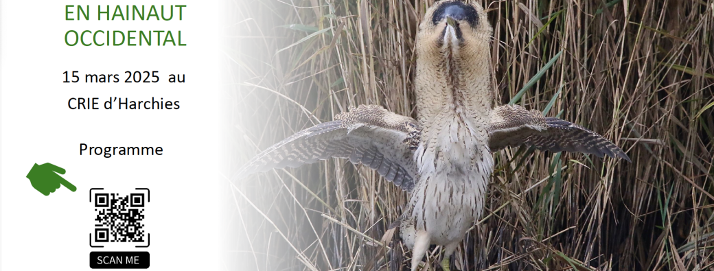 10èmes Rencontres ornithologiques en Hainaut occidental