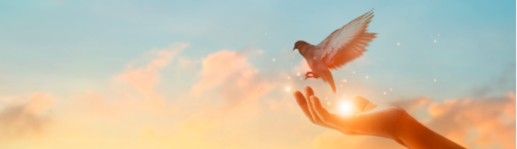 Séminaire 13 et 14 mars 2027 - Trinité : la Vie de Dieu qui nous appelle 