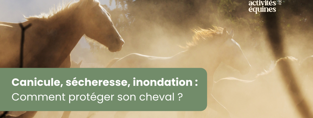15/11 - Canicule, sécheresse, inondation : saurez-vous relever le défi ? - Salon du Cheval Angers