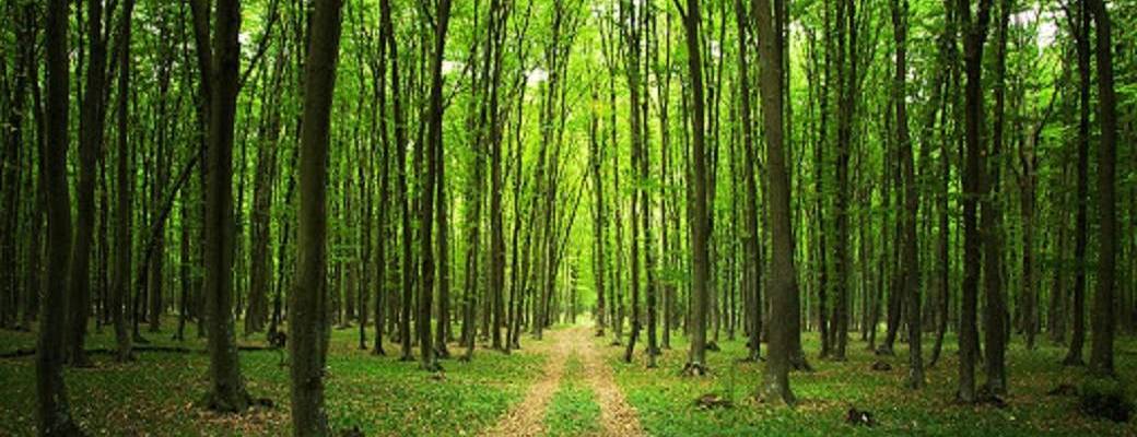 15éme Randonnée Gourmande Bricéenne 