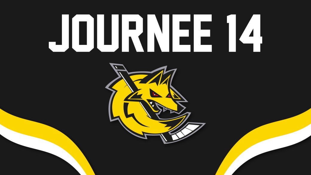 16/01/2027 - D2 J14 : Roanne vs Annecy