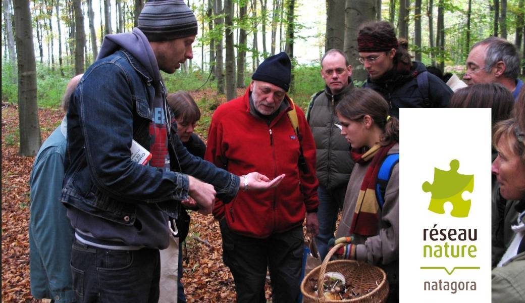 16 octobre : Balade à la découverte des champignons