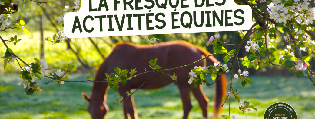 22/04 - Présentation de La Fresque des activités équines - En ligne