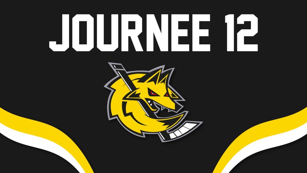 19/12/2026 - D2 J12 : Roanne vs Mulhouse
