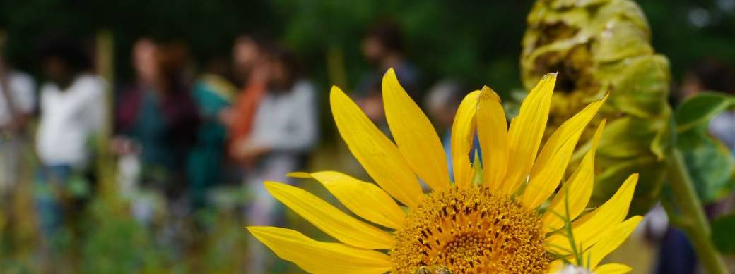 ...une Introduction à la Permaculture suivi d'un Cours de Design en Permaculture ...une Introduction à la Permaculture suivi d'un Cours de Design en Permaculture