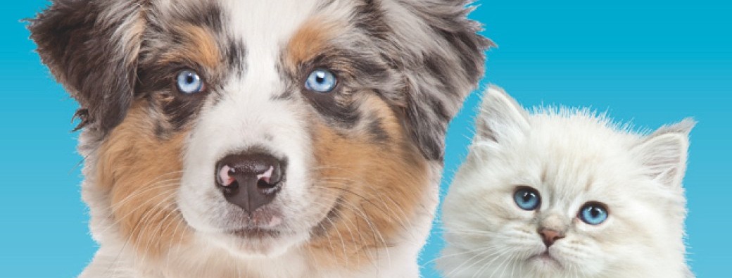 1er Salon des Animaux de Compagnie et leur bien-être à Nîmes