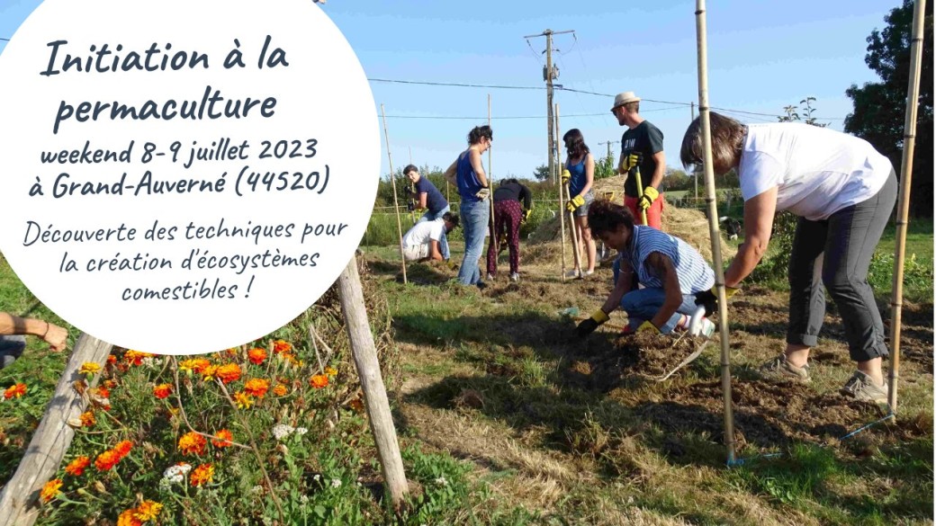 Initiation à la permaculture