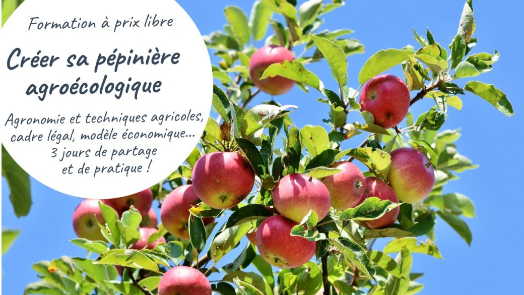 Formation "La pépinière agroécologique"