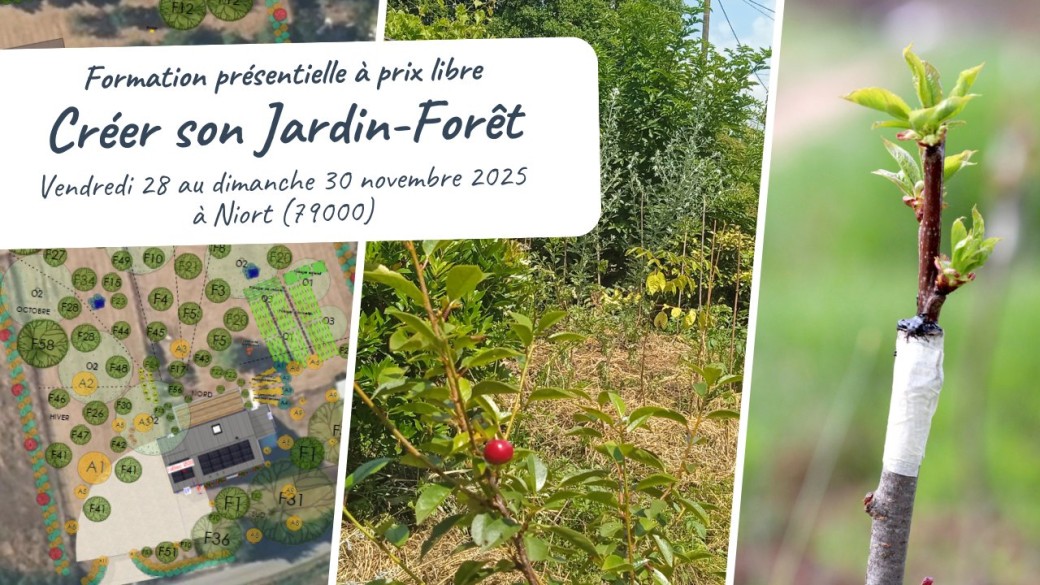 Créer son Jardin-Forêt - Formation présentielle à prix libre