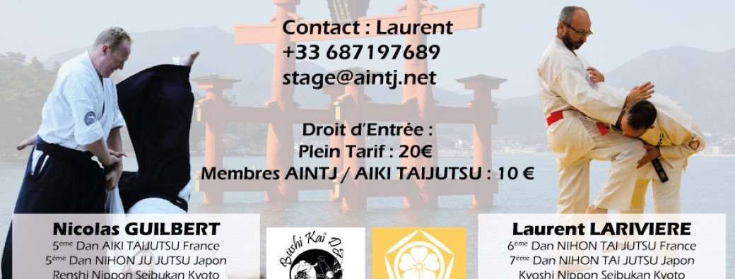 2026-04-11 – Stage Aiki Taijutsu – Nihon Tai Jutsu