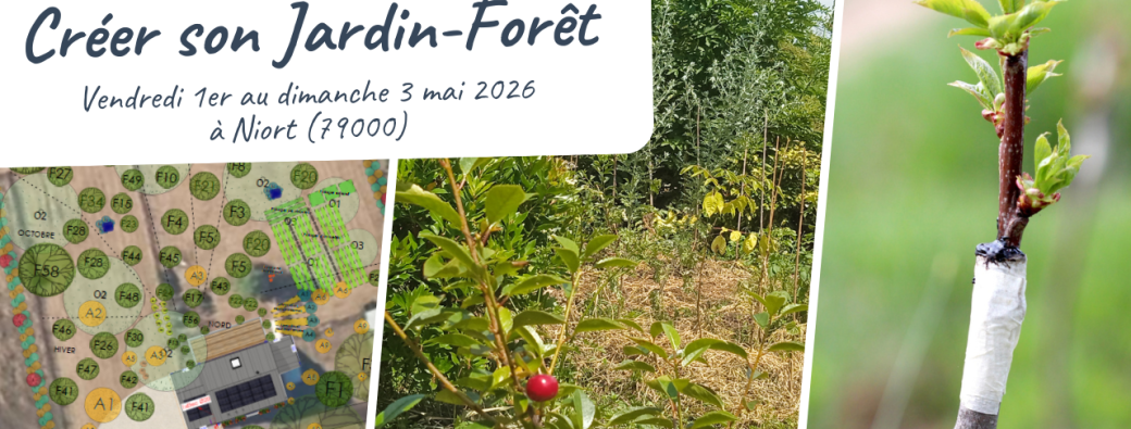 Créer son Jardin-Forêt - Formation présentielle à prix libre