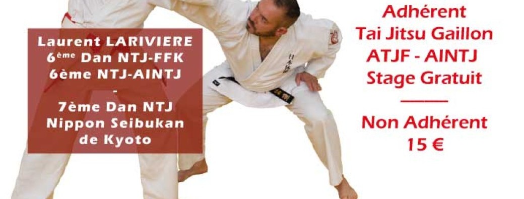 2026-05-22 - Stage Nihon Tai Jutsu - Gaillon (27)