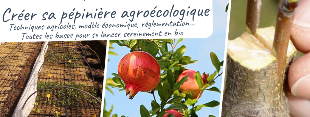 Formation 'Créer sa pépinière agroécologique'