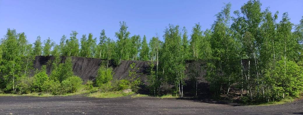 Visite du terril numéro 5 à Trazegnies, saison printemps