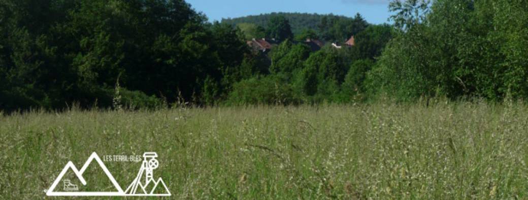 Visite du terril de l'Estacade à Souvret