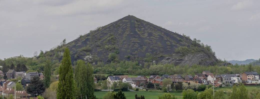 Visite guidée sur le terril du Boubier à Châtelet