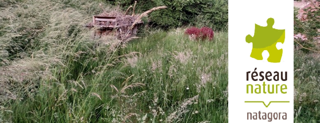 Visioconférence : Gestion différenciée et valorisation des déchets au jardin