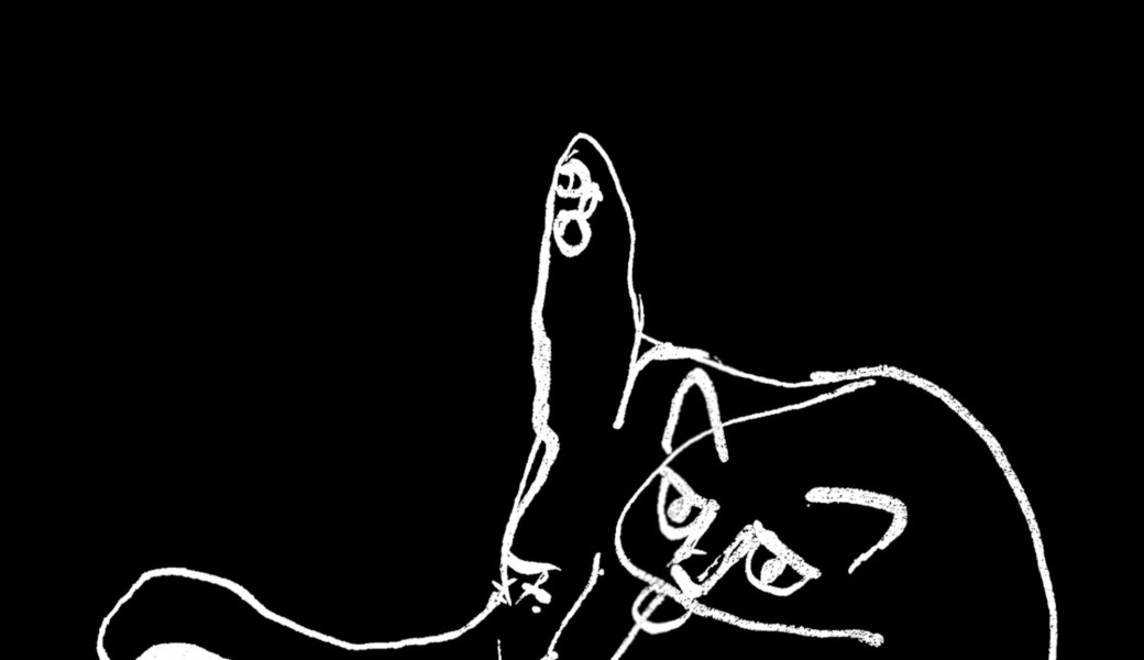 24/02 Elastocat