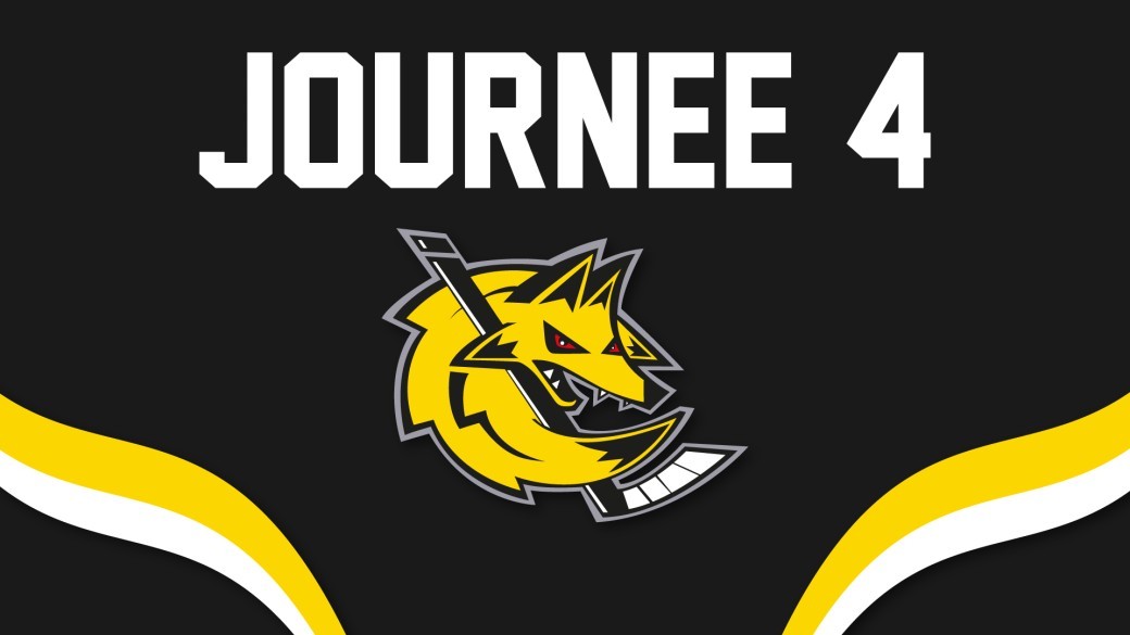 24/10/2026 - D2 J4 : Roanne vs Toulouse