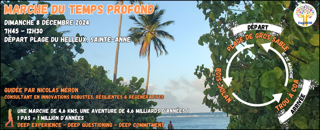 8 décembre 2024 | Plage de Gros Sable - Le Helleux, Sainte-Anne