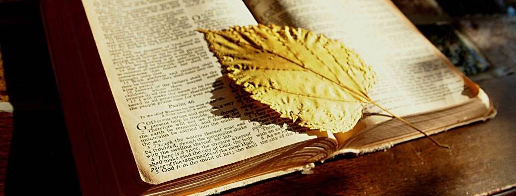 24h Opération Bible study