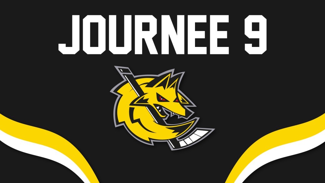 28/11/2026 - D2 J9 : Roanne vs HCMP