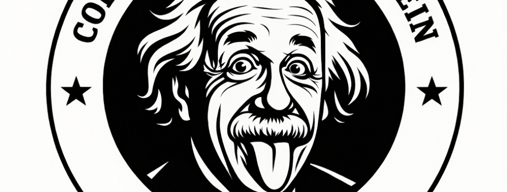 2è match de Basket Profs /Elèves du collège Albert Einstein
