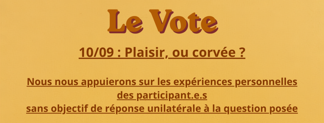 2nde Conversation sur l’expérience de votant.e.s -> Plaisir, ou Corvée ? Début 15H12