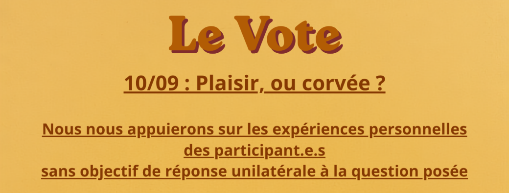 2nde Conversation sur l’expérience de votant.e.s -> Plaisir, ou Corvée ? Début 13H12