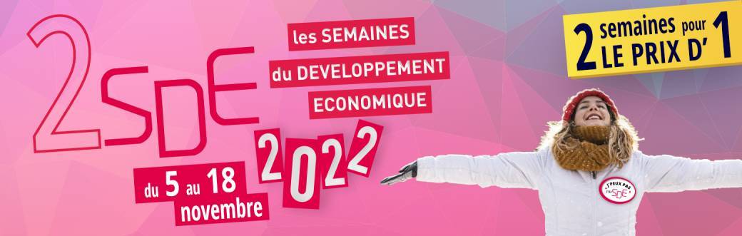 2SDE2022