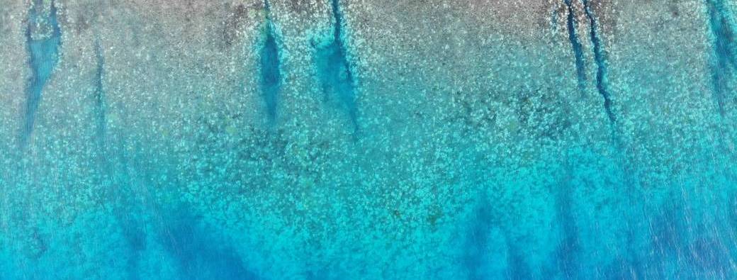 Sortie pêche au gros 