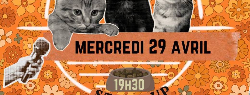 3 x 20 min de Stand up avec Floyd, Mimi et Tiebini 