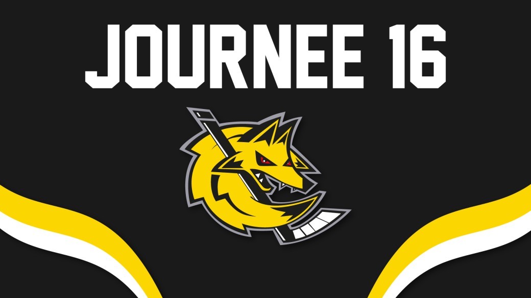 30/01/2027 - D2 J16 : Roanne vs Dijon