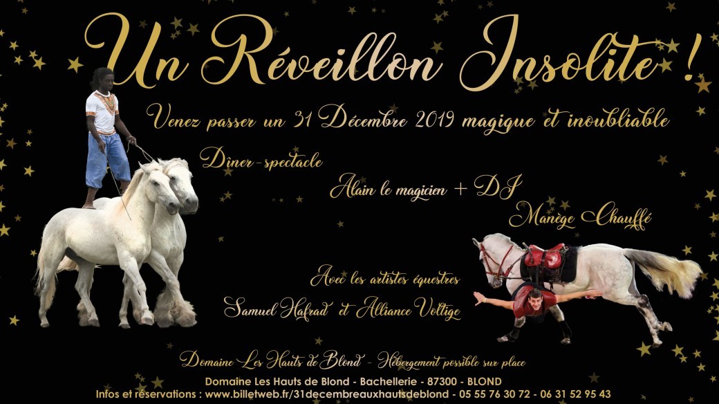 Dîner Spectacle du Réveillon