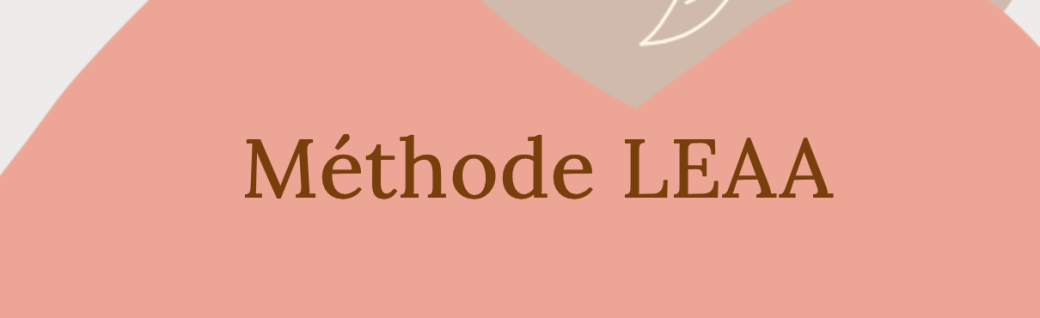 FORMATION THERAPEUTE ENERGETICIEN  PARIS CHARTRES #35F -Méthode LEAA 6 - 8 oct 2026