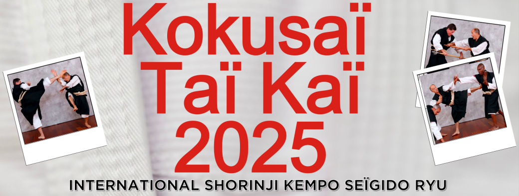 5ème Taïkaï international