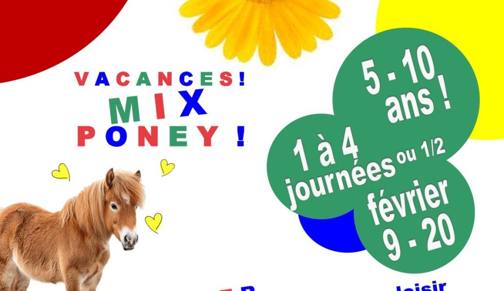 mini stage équitation 5-10 ans activité "mix - poney" des jeux et du loisir avec les poneys !