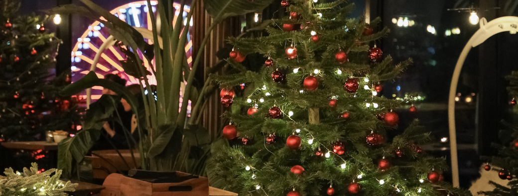 Christmas Paradise