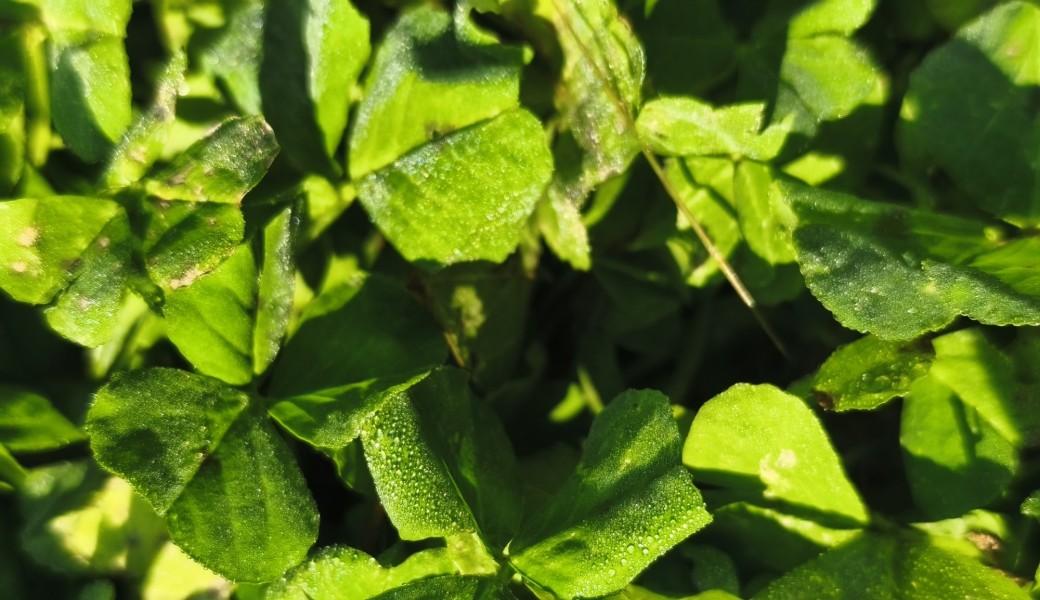 7 jours pour ralentir, ressentir et renouer avec le vivant