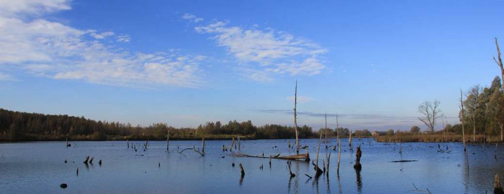 8èmes Rencontres Ornithologiques en Hainaut Occidental 