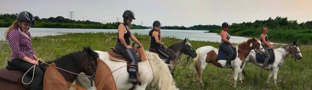 A - Balade à cheval de 1 heure à Avignon - tout niveau  ( plusieurs dates )