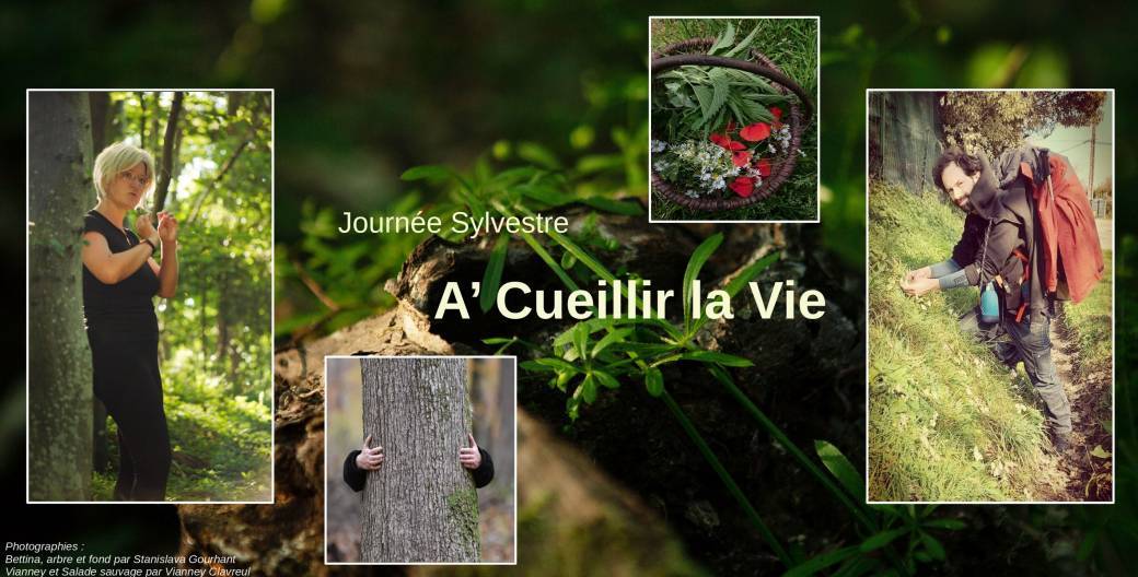 Forêt d'Eu - A' Cueillir la Vie