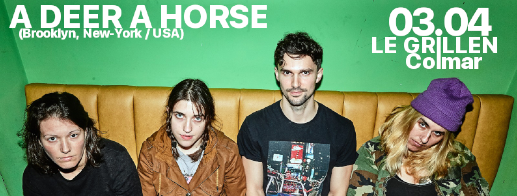 A DEER A HORSE